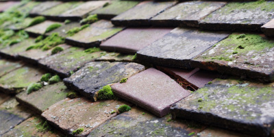 Tirley roof repair costs